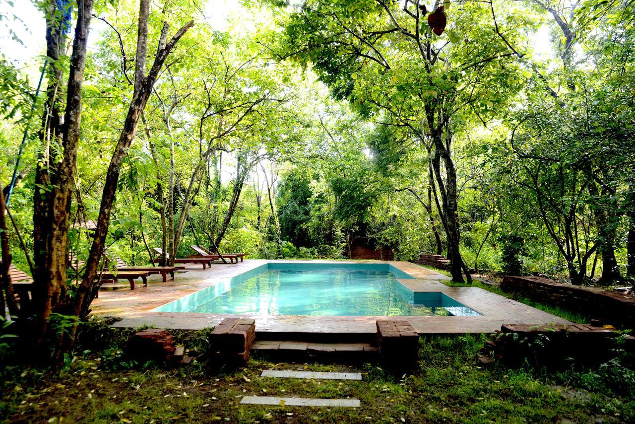 Mahagedara Wellness Retreat Hotel Avudangawa Luaran gambar