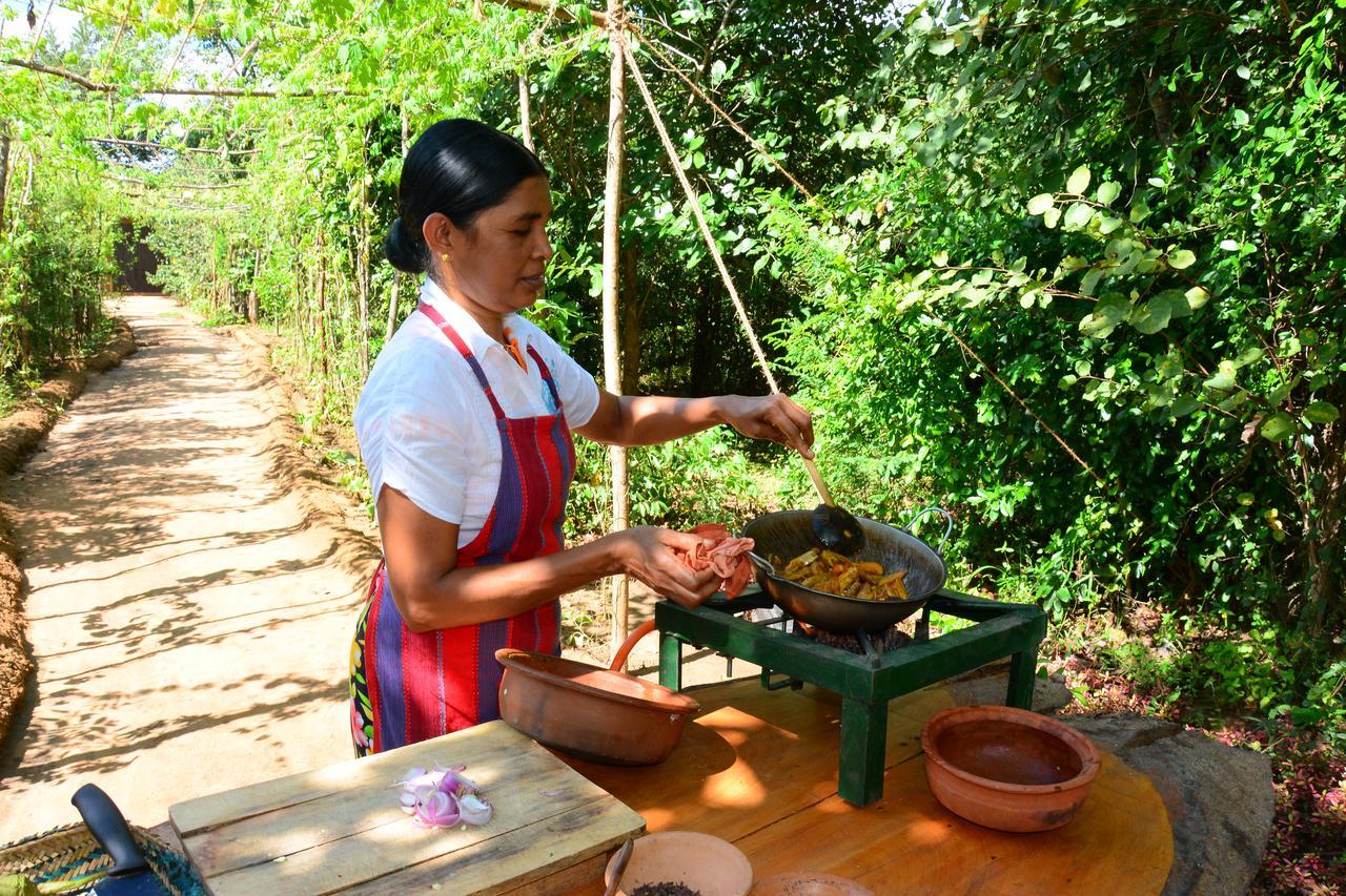Mahagedara Wellness Retreat Hotel Avudangawa Luaran gambar