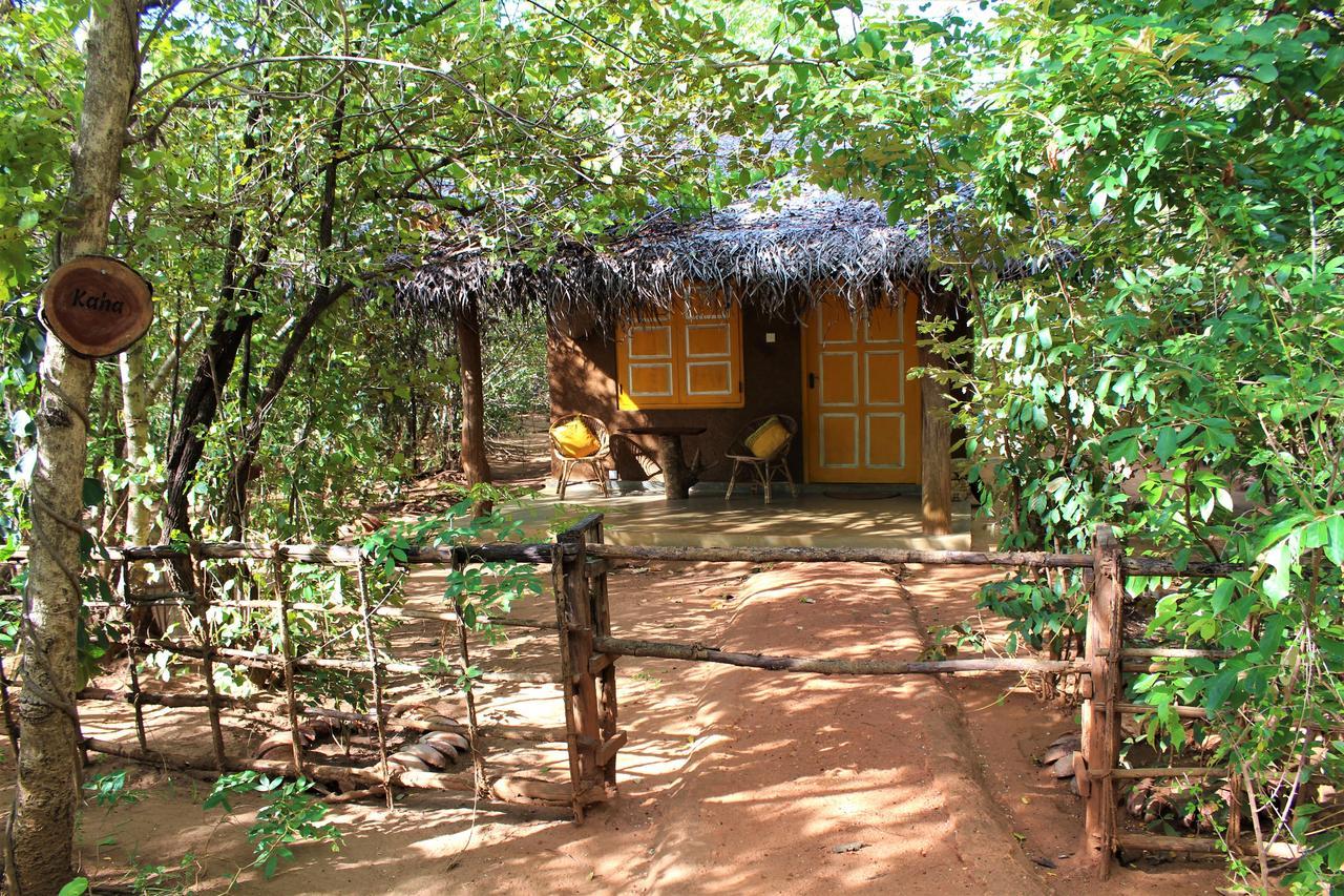 Mahagedara Wellness Retreat Hotel Avudangawa Luaran gambar