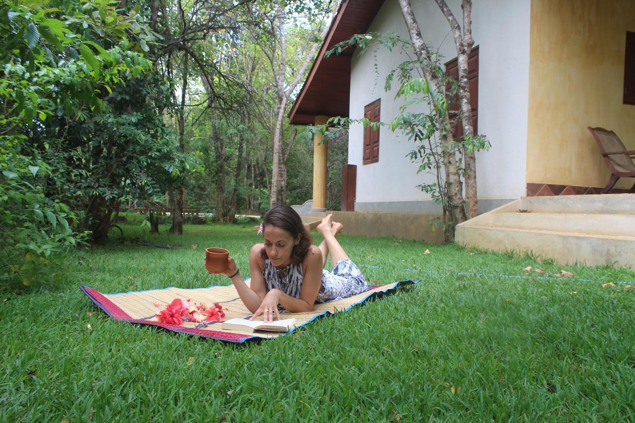Mahagedara Wellness Retreat Hotel Avudangawa Luaran gambar